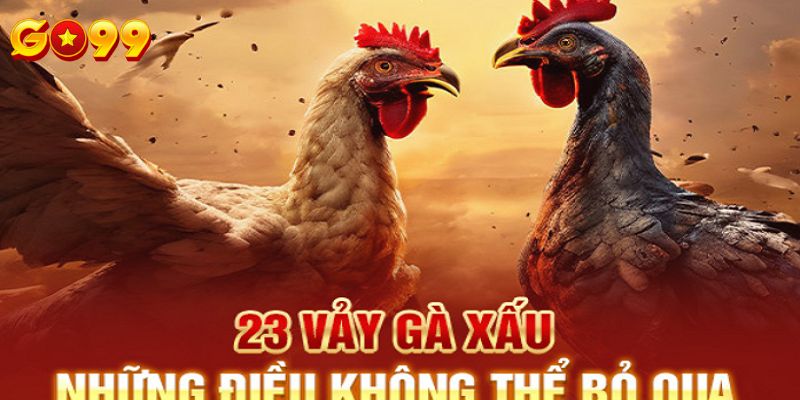 Cách xem vảy gà xấu GO99 là gì? 